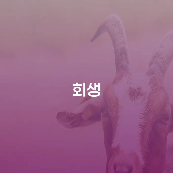 개인회생신청조건 개인회생,개인파산으로 모든정보