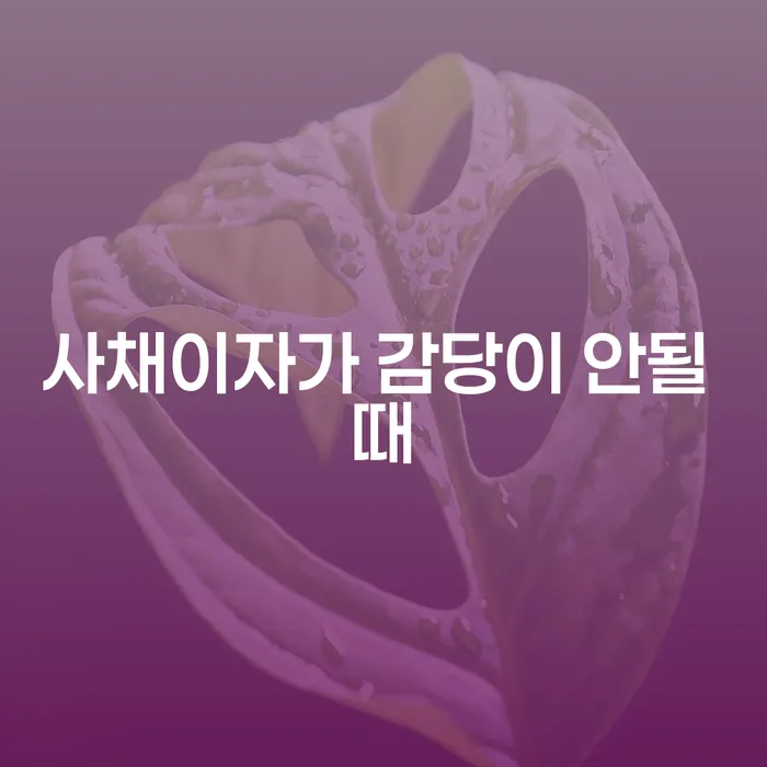 개인회생변호사추천 신용회복 접수하자