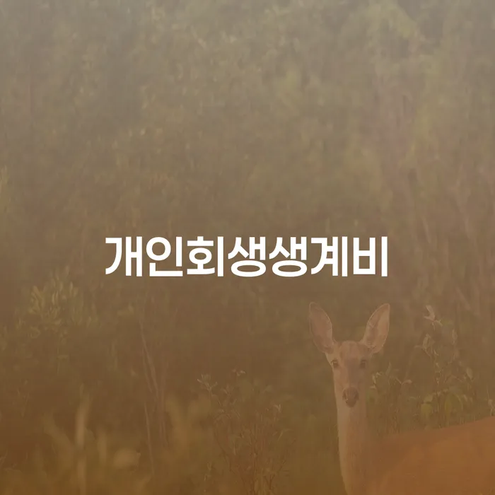 부부회생 개인회생으로 방법 이렇게 진행을
