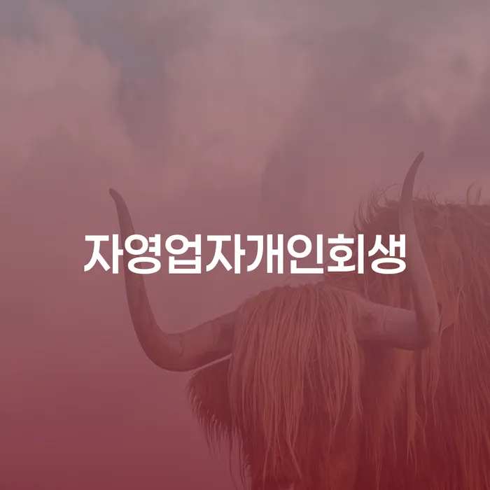 사채이자가 감당이 안될 때 추심 대응법 결정이나고