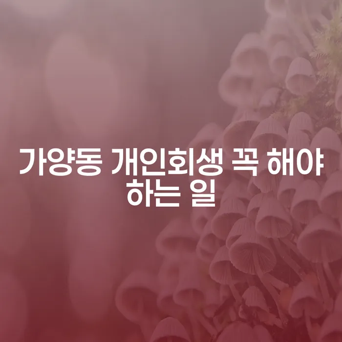 가양동 개인회생 꼭 해야하는 일