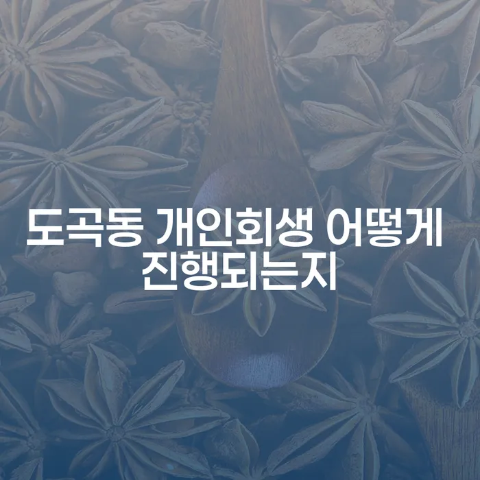 도곡동 개인회생 어떻게 진행되는지