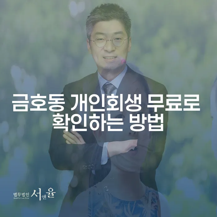 금호동 개인회생 무료로 확인하는 방법