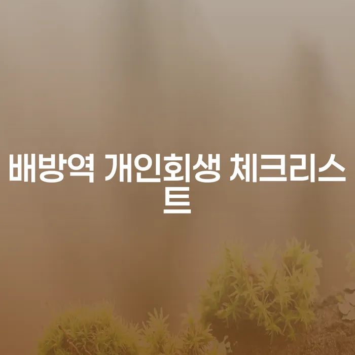 배방역 개인회생 체크리스트