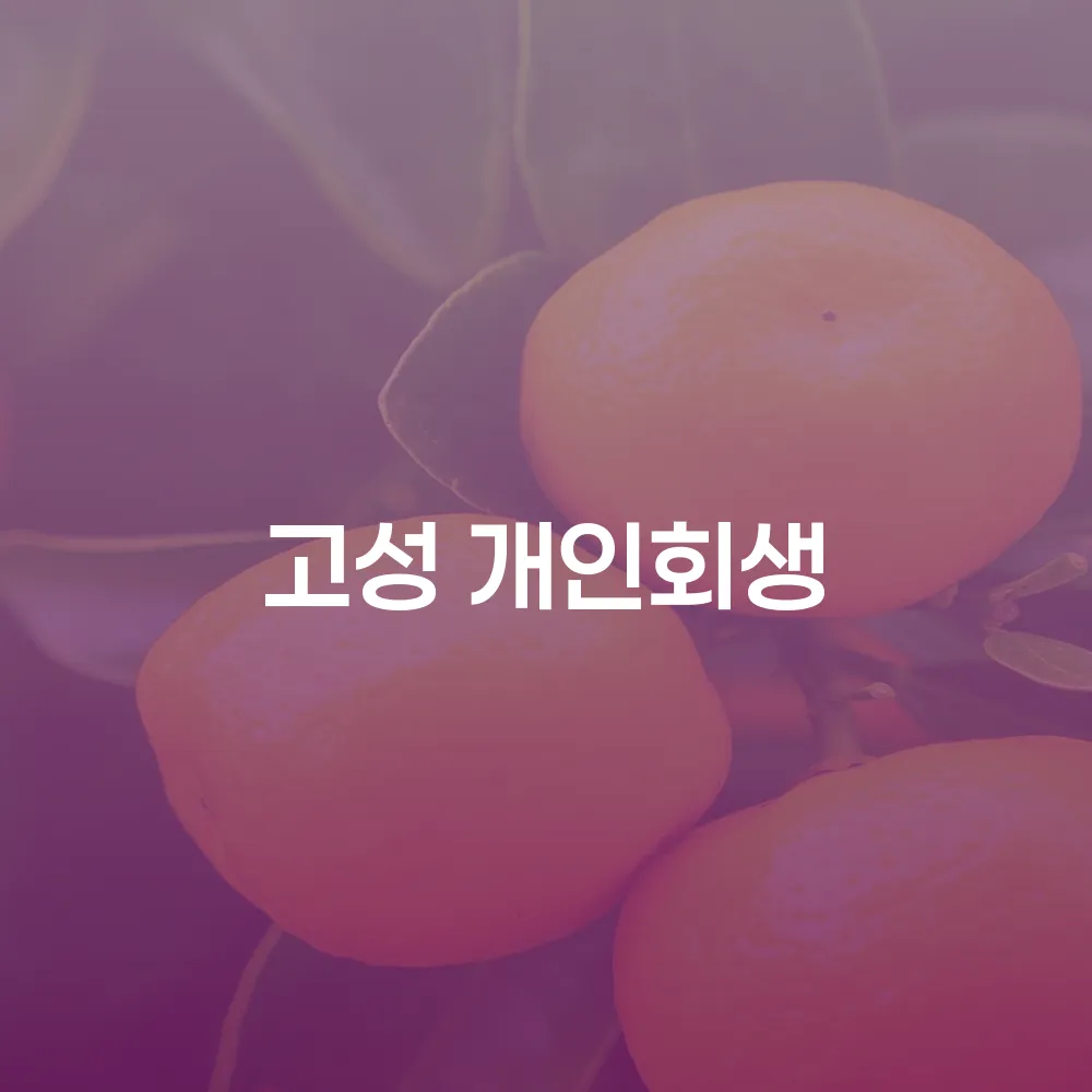 고성 개인회생 신청자격과 절차 안내