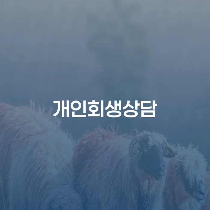 염창동 개인회생상담을 통한 채무 해결의 첫걸음