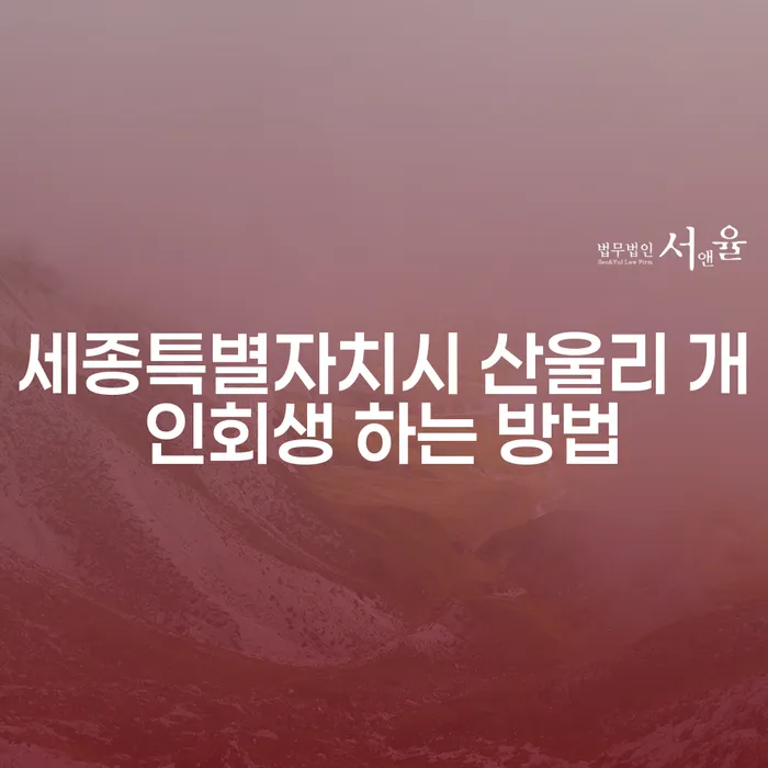 세종특별자치시 산울리 개인회생을 어떻게 시작해야 할까요?