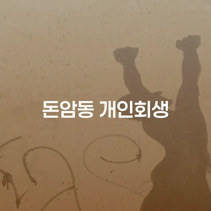 돈암동 개인회생: 채무 문제 해결을 위한 최적의 접근 방법은 무엇일까요?