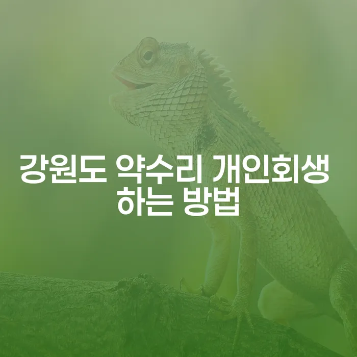 강원도 약수리에서 개인회생을 위한 가장 효과적인 방법은 무엇일까요?