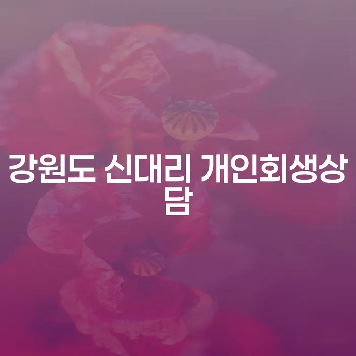 강원도 신대리에서 개인회생상담을 받을 수 있는 방법은?
