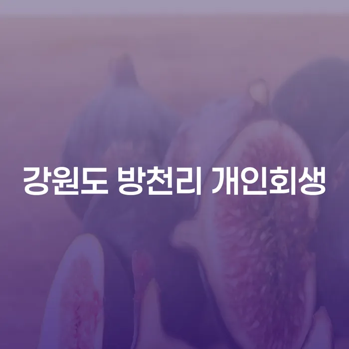 채무 해결의 길, 강원도 방천리 개인회생을 알아보셨나요?