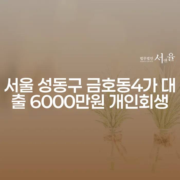 서울 성동구 금호동4가에서 6000만원 대출, 개인회생과 개인파산의 올바른 선택은?