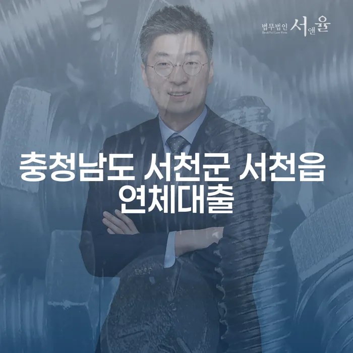 충청남도 서천군 서천읍 연체대출 문제, 어떻게 해결할 수 있을까?