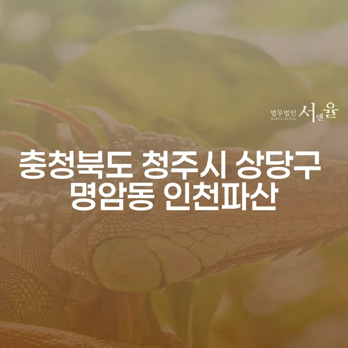 충청북도 청주시 상당구 명암동 인천파산: 경기광주경매와 개인회생의 해법은?