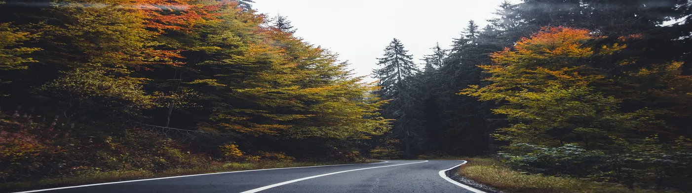 법무법인 서앤율