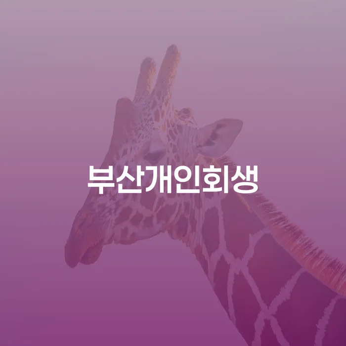 부산개인회생과 연대보증채무, 당신의 경제적 자유를 찾아가는 길은?